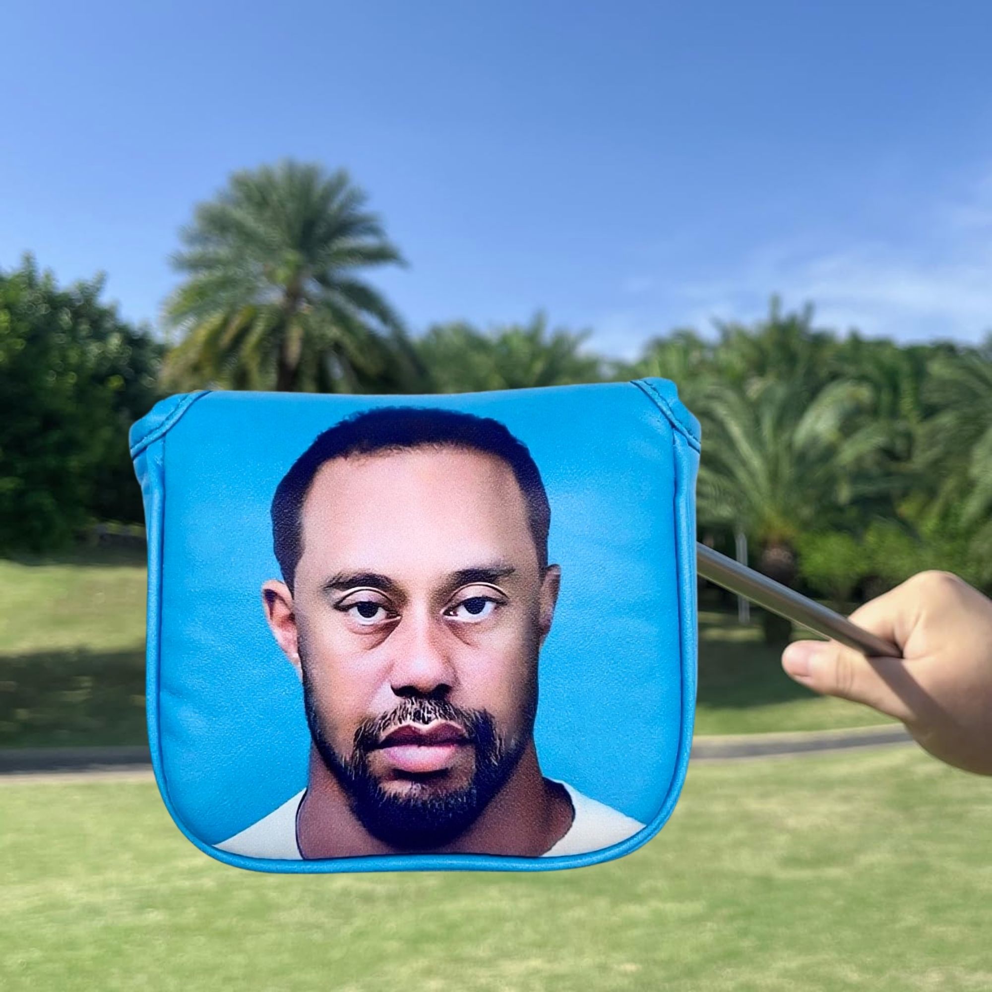 Funny Golf Mallet Putter Head  - Women'S Golf Accessories 评论和价格