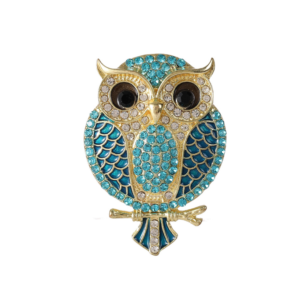 Owl Brooches for Women  Bird C - Women'S Accessories Categories 评论和价格